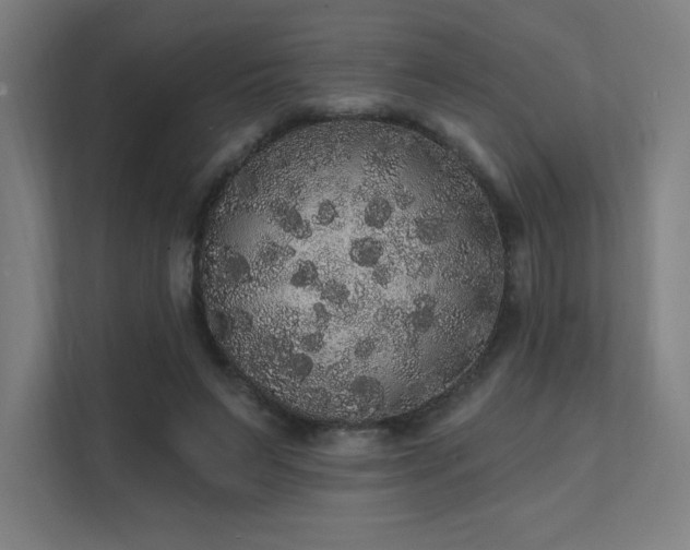 X0000112000495200908101325