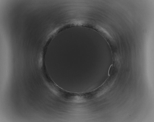 X0000112000496200908101325