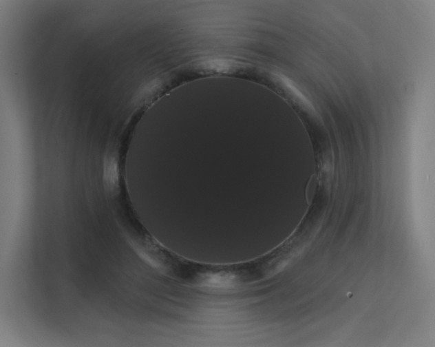 X0000112000500200908101325