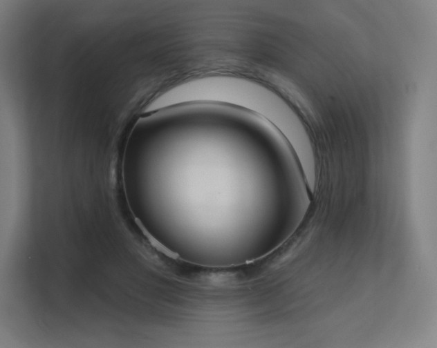 X0000112000501200908101325