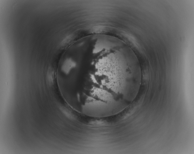 X0000112000503200908101325