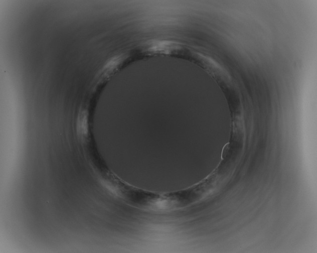 X0000112000504200908101325