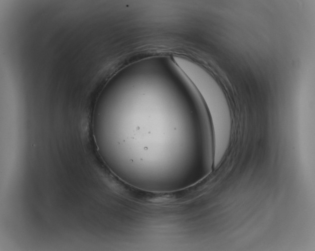 X0000112000505200908101325