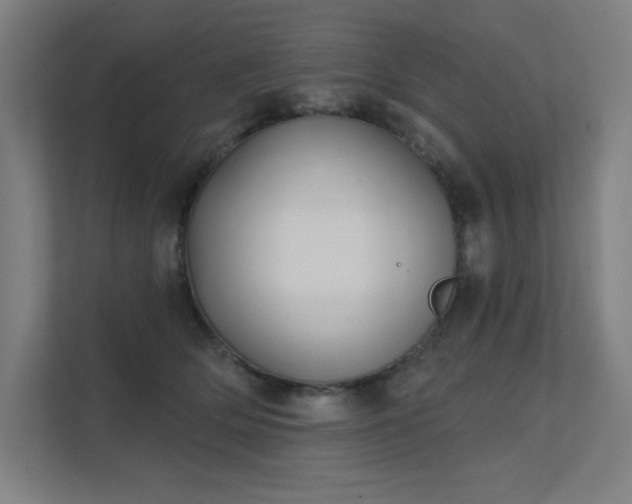 X0000112000514200908101324