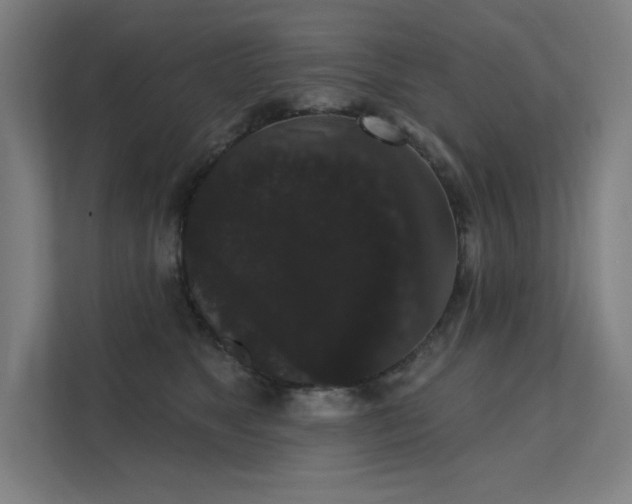 X0000112000517200908101324