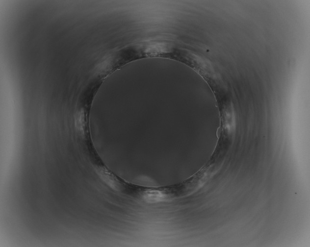 X0000112000519200908101324