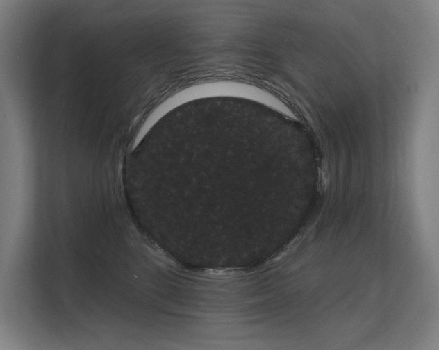 X0000112000520200908101324