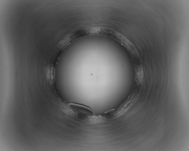 X0000112000525200908101324