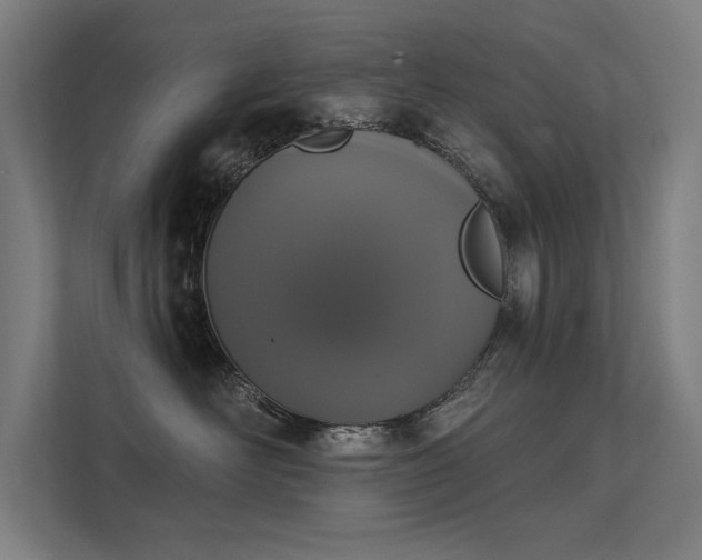 X0000112000526200908101324