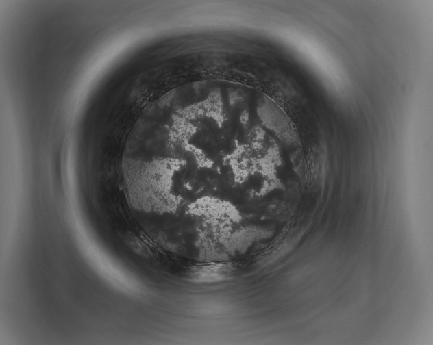 X0000112000527200908101324