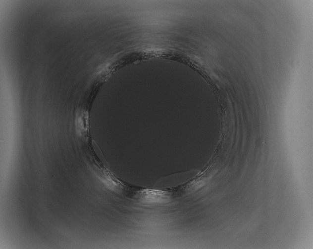 X0000112000528200908101324