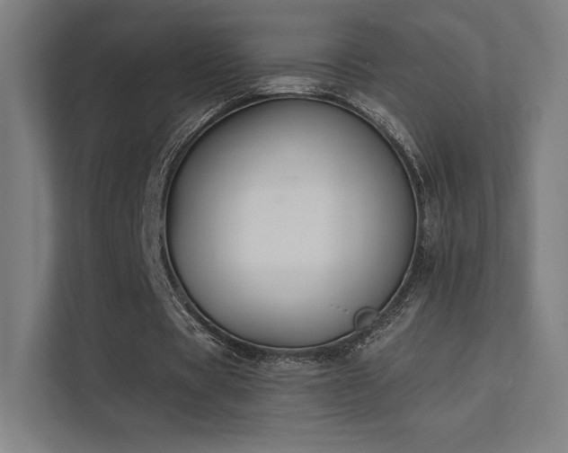 X0000112000529200908101324