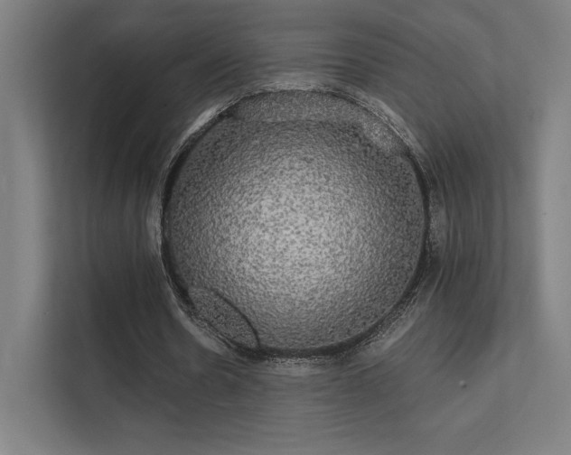 X0000112000530200908101324