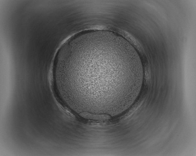 X0000112000532200908101324