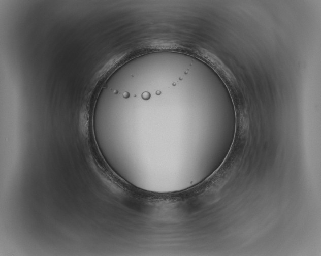 X0000112000533200908101324