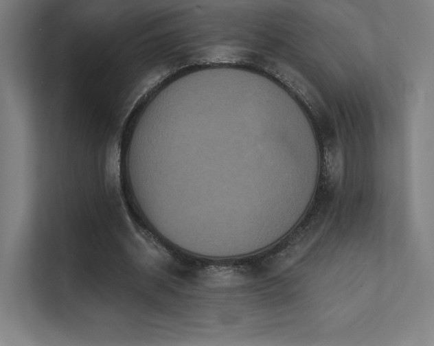 X0000112000534200908101324