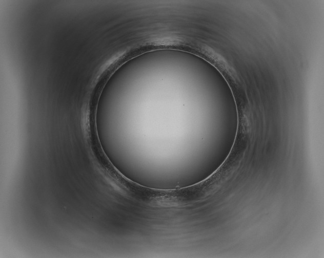 X0000112000535200908101324