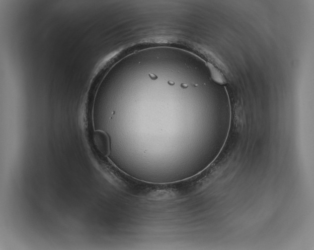 X0000112000536200908101324