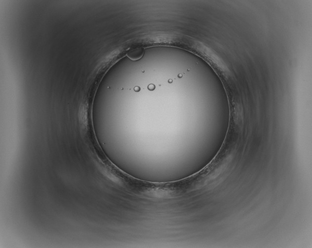 X0000112000537200908101324