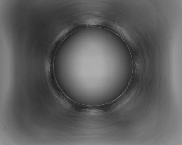 X0000112000539200908101324