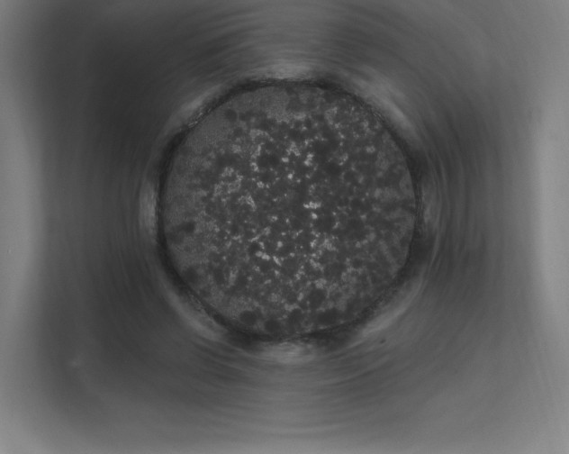 X0000112000542200908101324