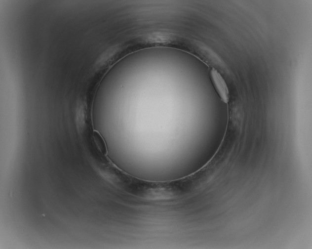 X0000112000544200908101324