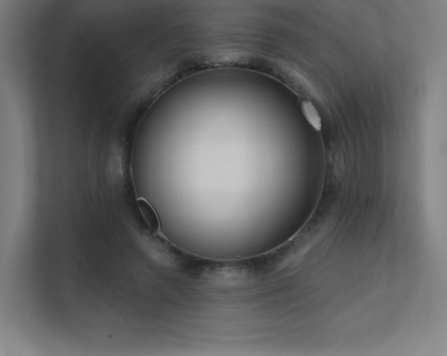 X0000112000546200908101324