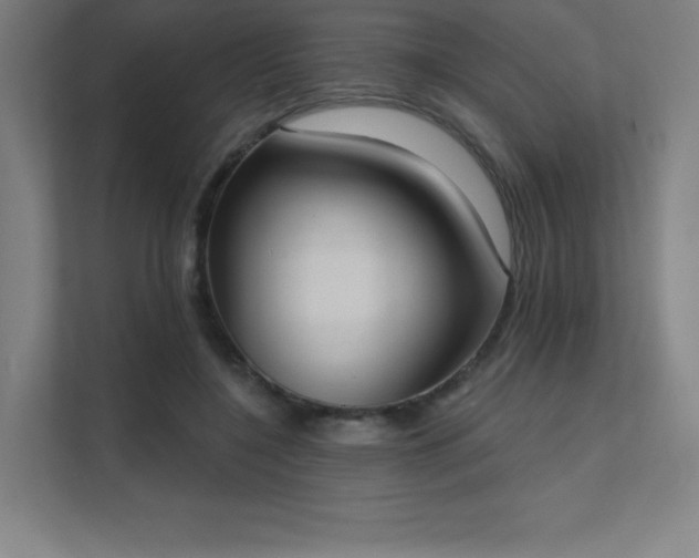 X0000112000548200908101324