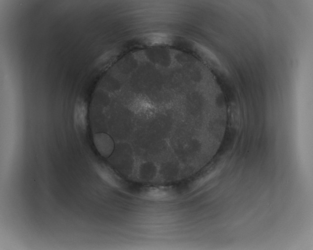 X0000112000550200908101324