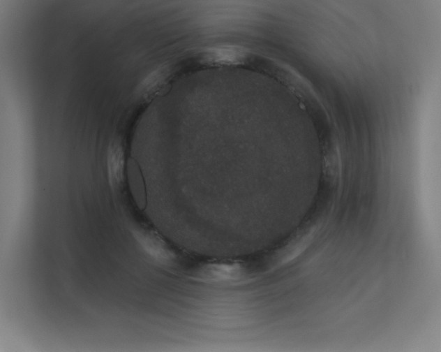 X0000112000552200908101324