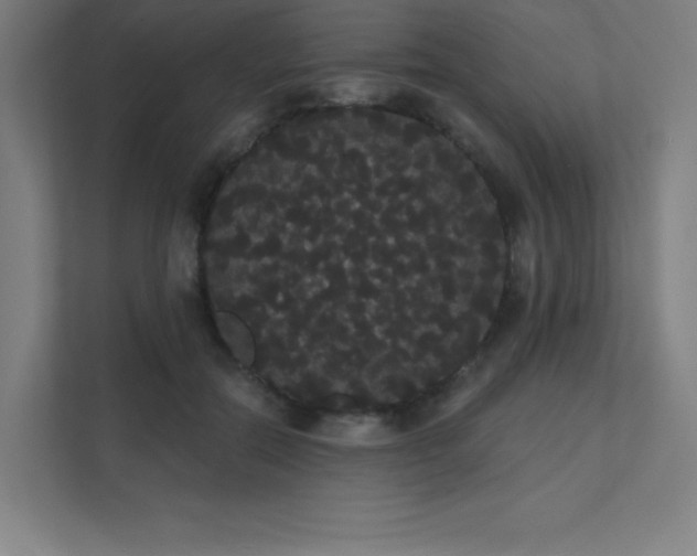 X0000112000554200908101324