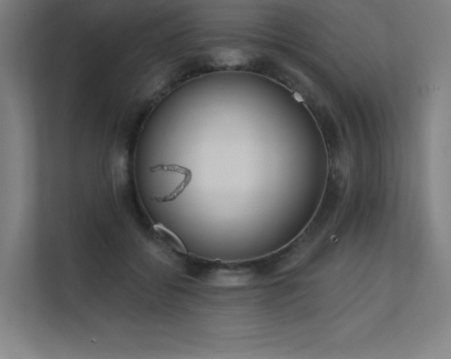 X0000112000556200908101324