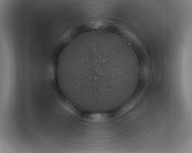 X0000112000558200908101324