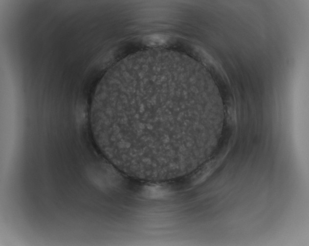 X0000112000561200908101324