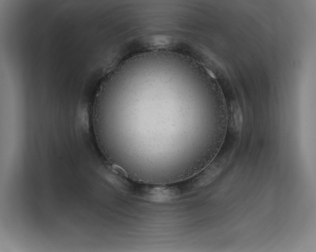 X0000112000562200908101324