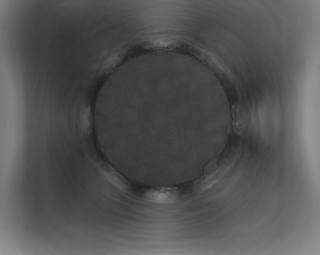 X0000112000563200908101324