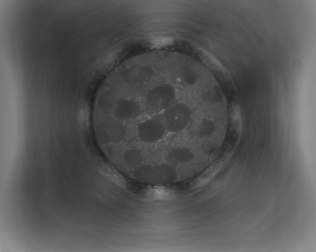 X0000112000565200908101324