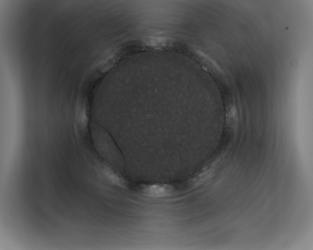 X0000112000566200908101324