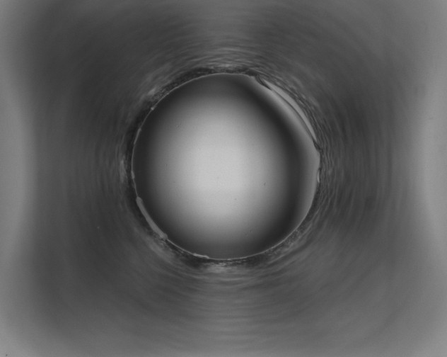 X0000112000568200908101324