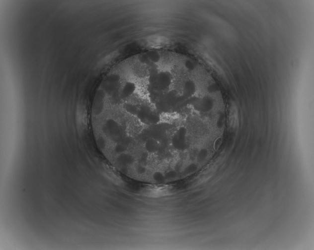 X0000112000569200908101324