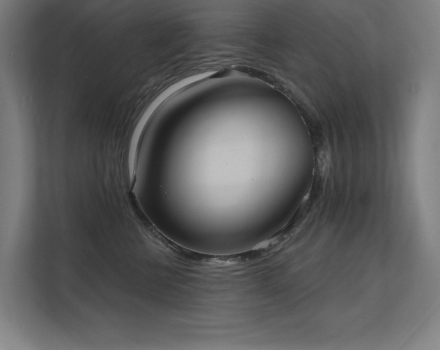 X0000112000570200908101324