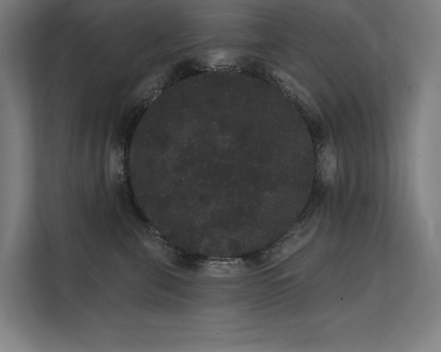 X0000112000571200908101324