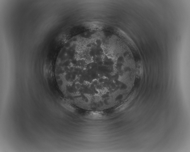 X0000112000573200908101324