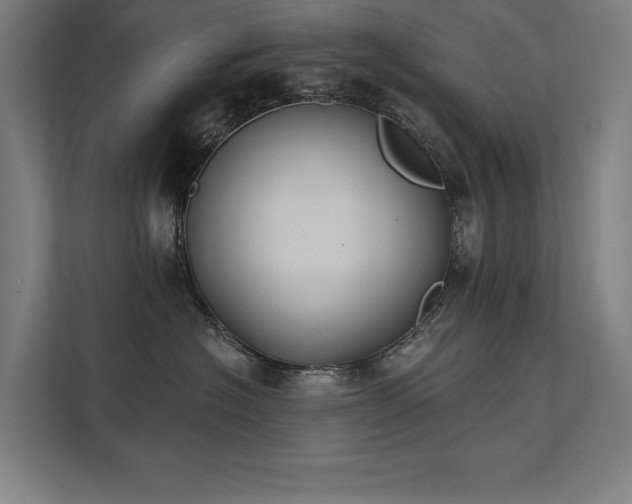 X0000112000574200908101324