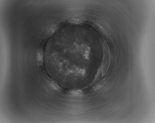 X0000112000576200908101324