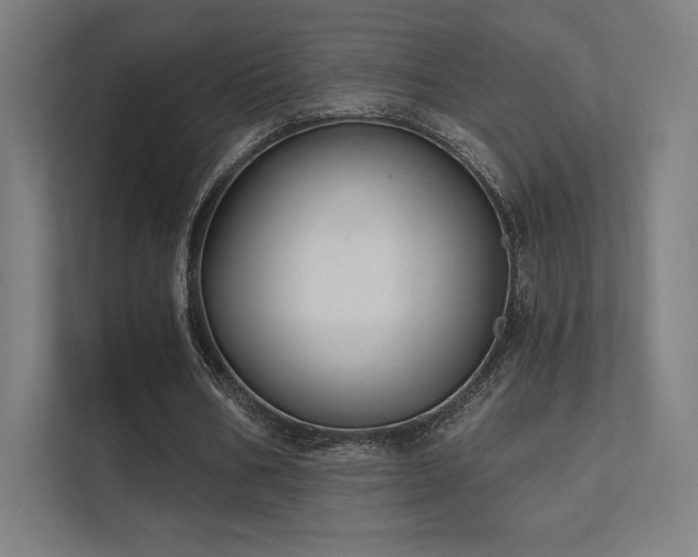 X0000112000578200908101324