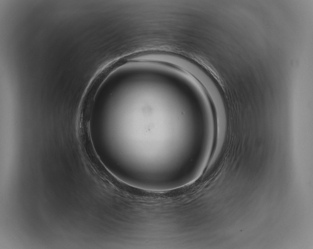 X0000112000579200908101324