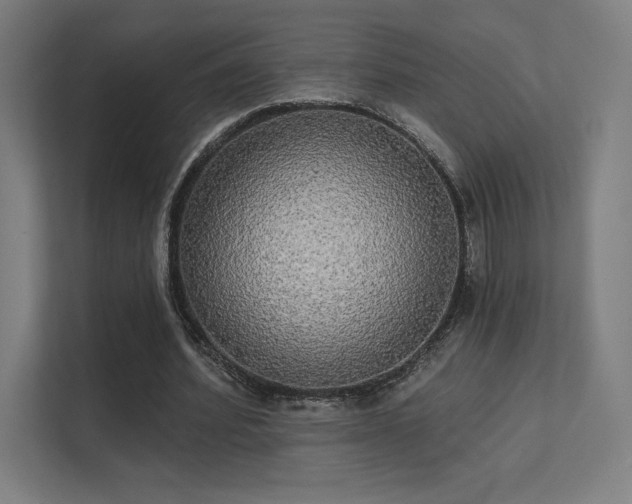 X0000112000580200908101324