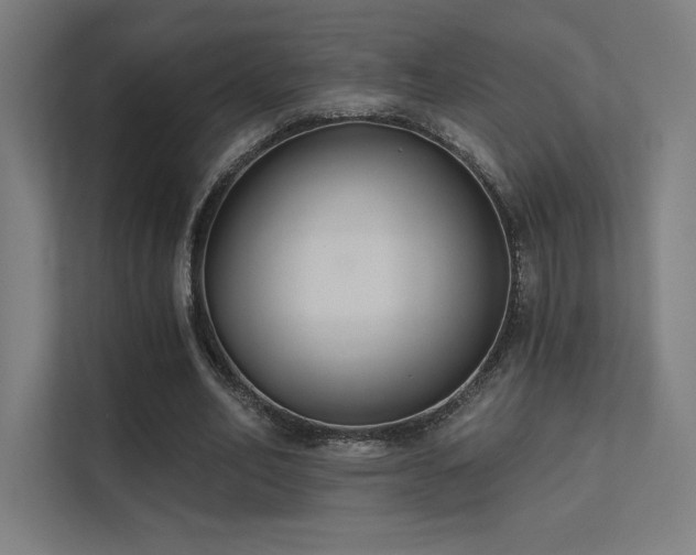 X0000112000582200908101324