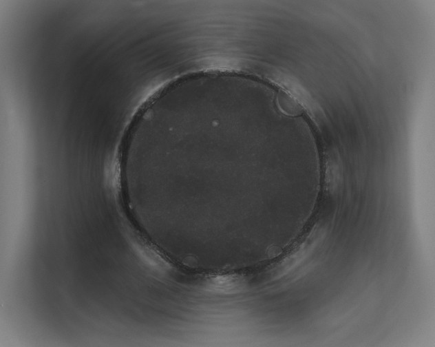 X0000112000584200908101324